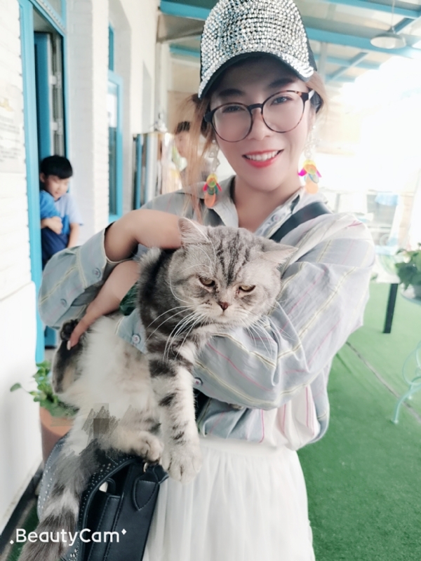 小黑猫的第一张照片--咸阳相亲服务中心