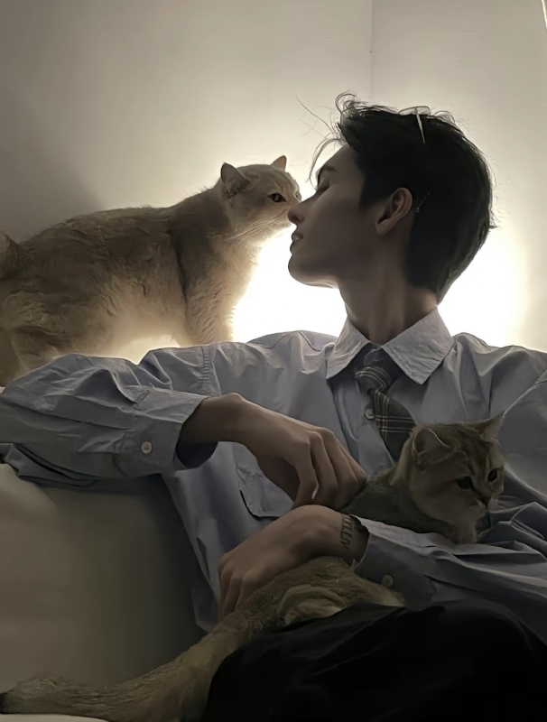 怪猫的第一张照片--咸阳相亲服务中心